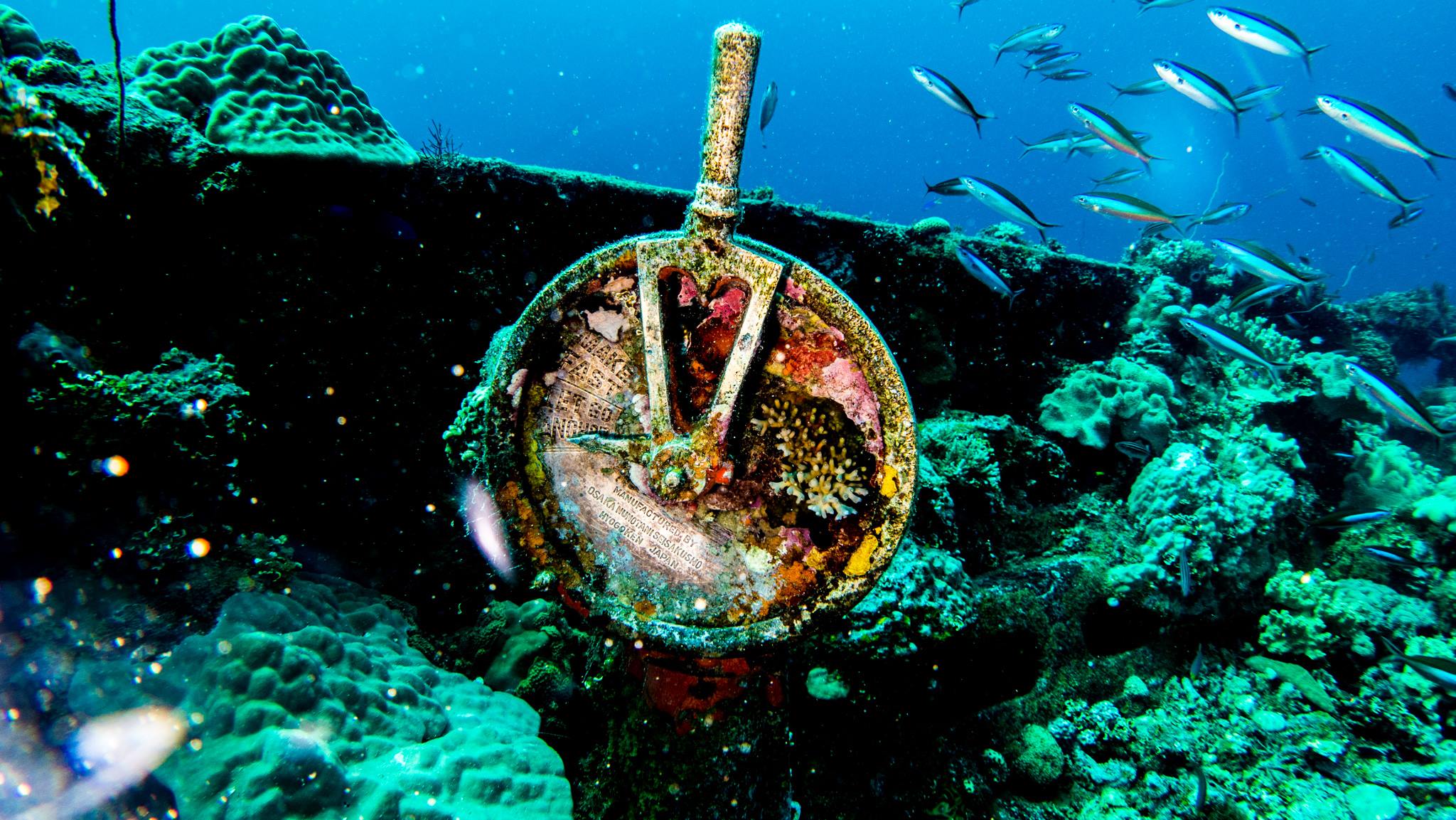 Federated States of Micronesia Tudor Clee